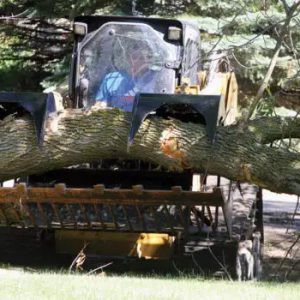 Grapple Rod Bucket cutting large tree